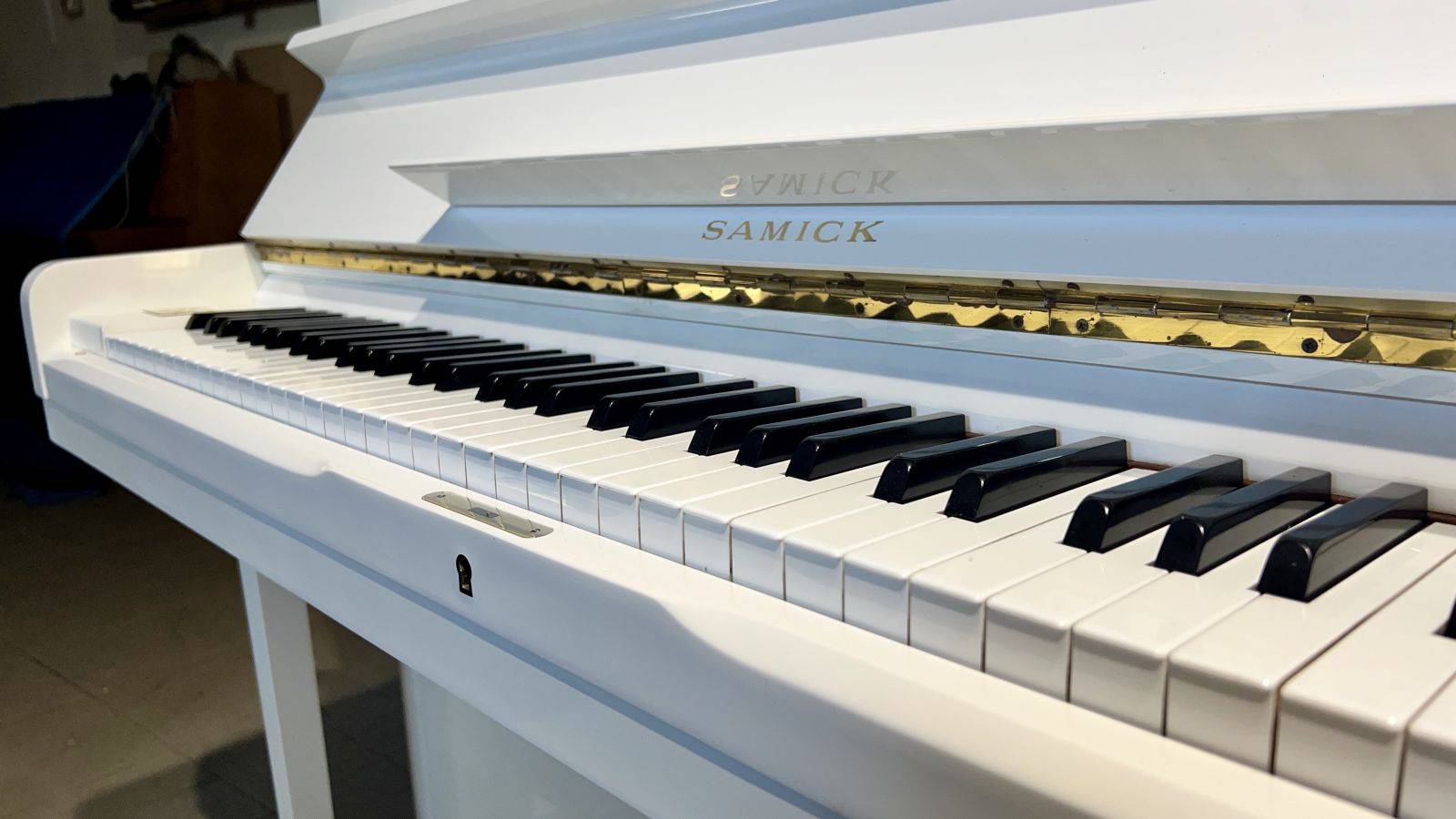 Klávesnice- kompletní regulace a přeleštění