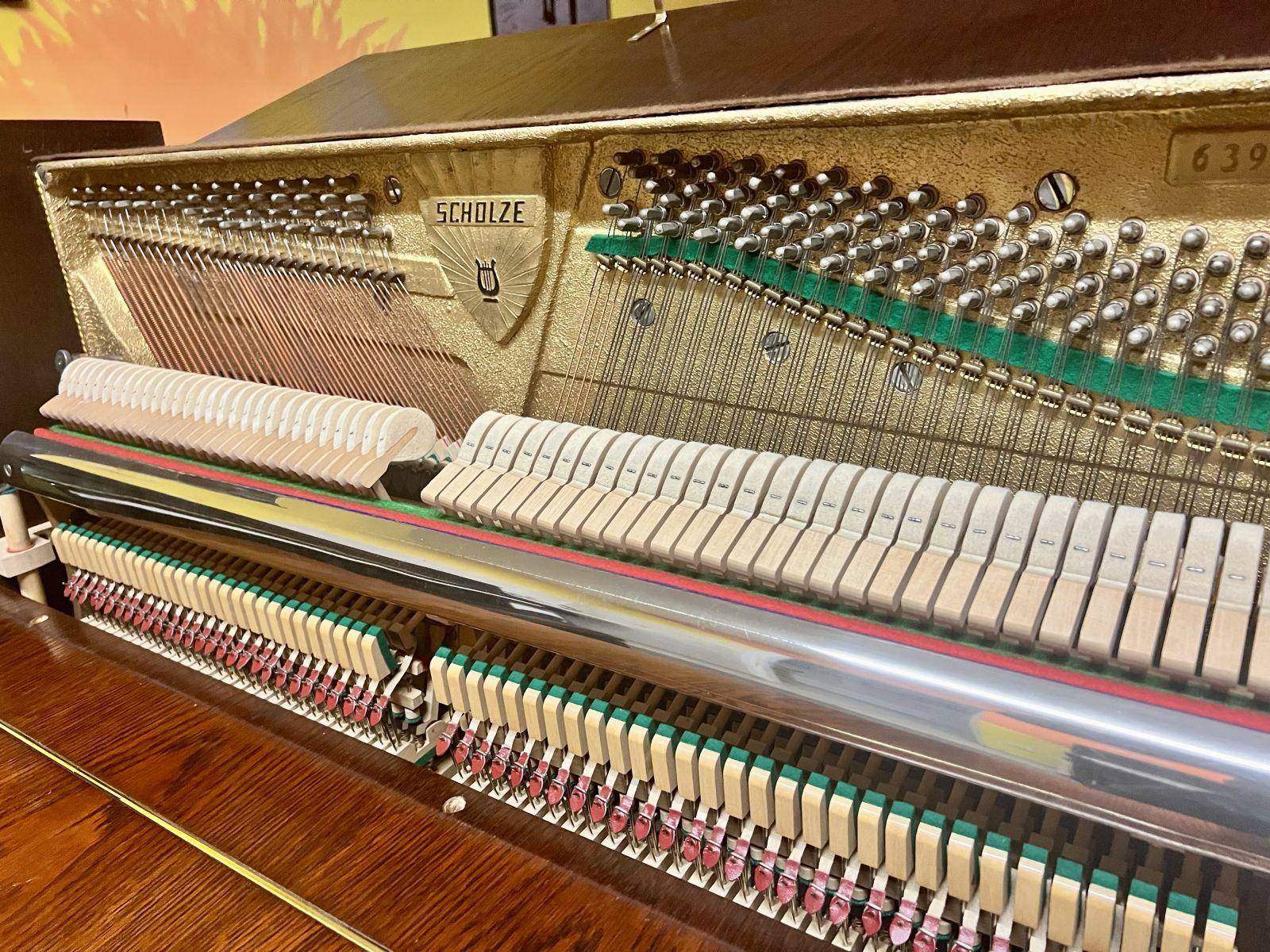 Scholze -Petrof mechanika